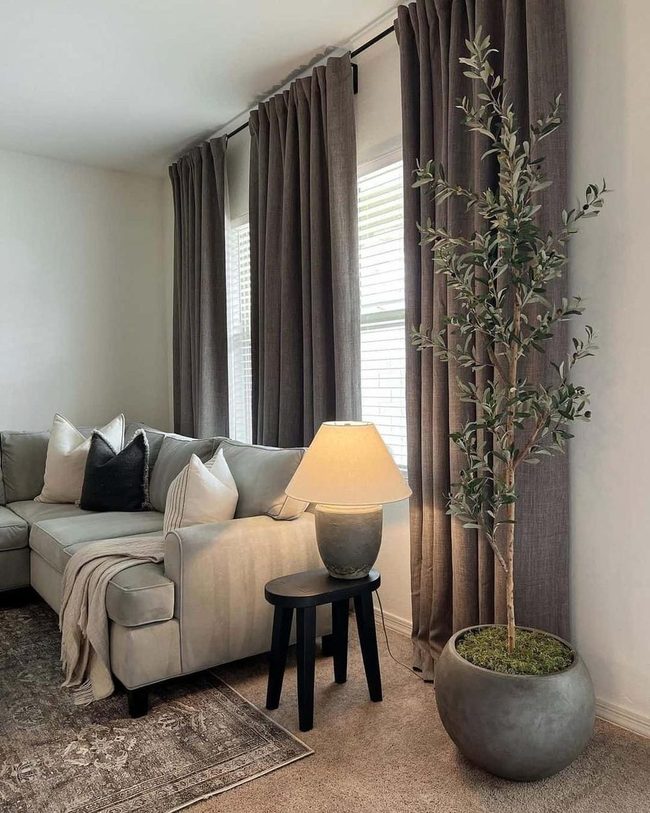Gray Sectional With Living Greenery