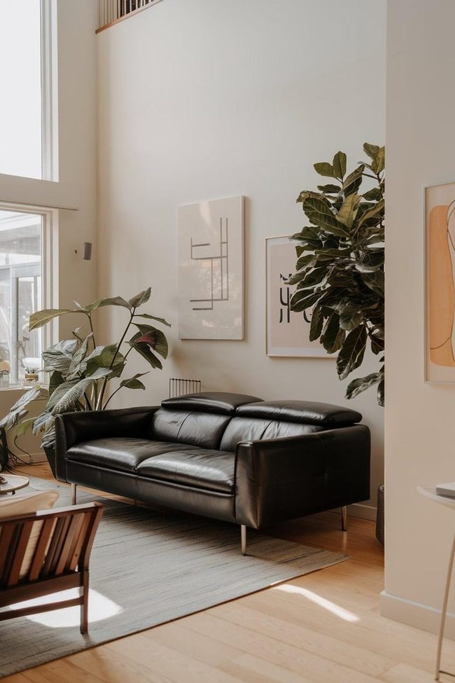 Black Leather Sofa White Walls Light