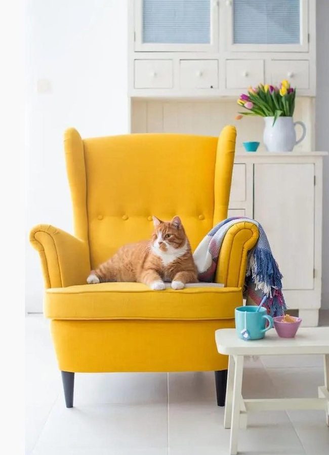 Yellow Armchair Cat Companion