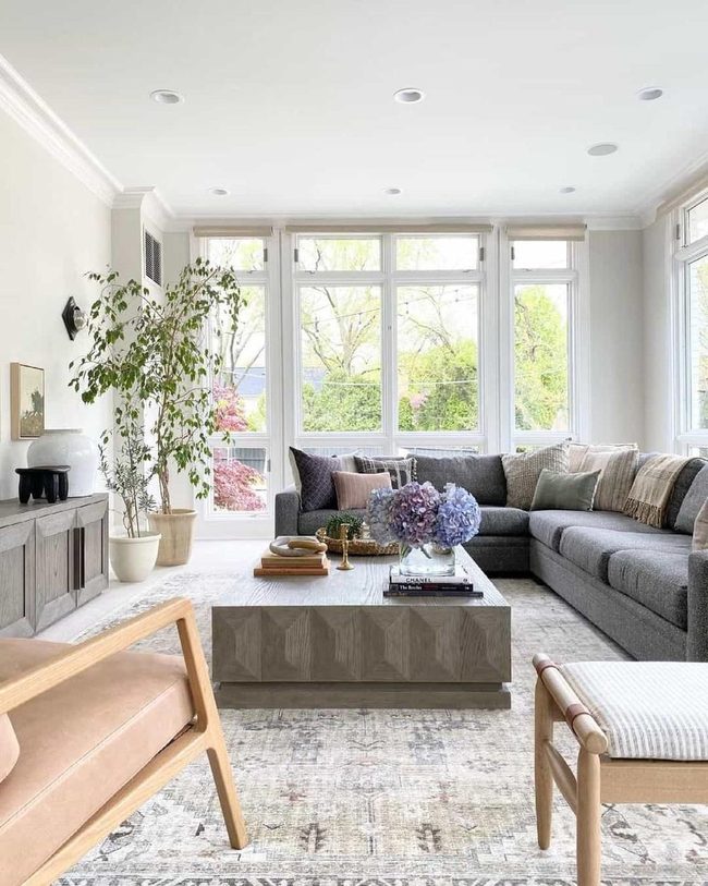 Sunlit Living Room With Green Plants