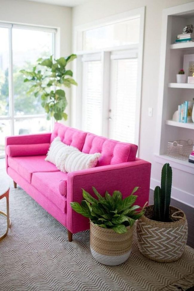 Pink Sofa With Living Green Accents