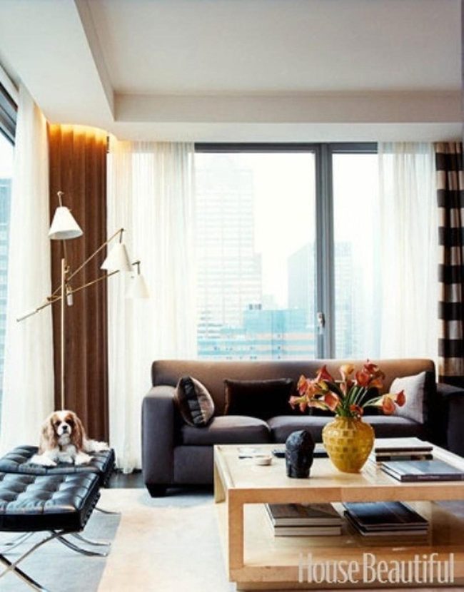 Sunlit Room With Orange Flowers
