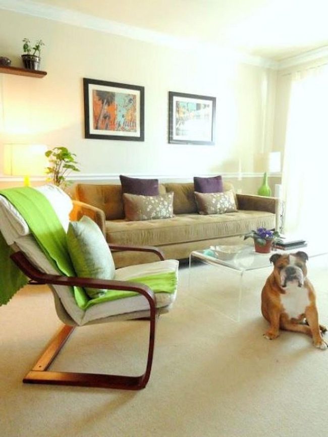 Sunlit Brown Living Room With Green Accents