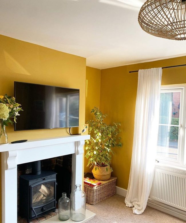Goldenrod Walls Command Attention