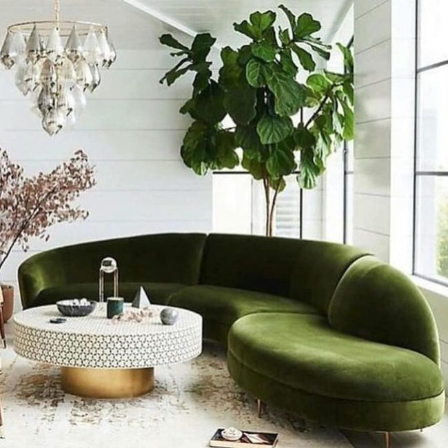 Emerald Velvet Living Statement