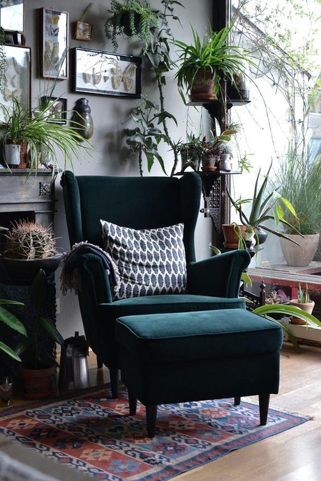 Dark Green Chair With Living Walls