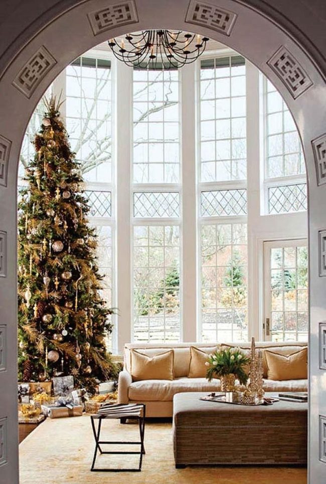 Golden Tree Steals The Room