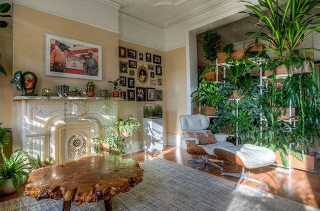 Green Walls, Living Layers