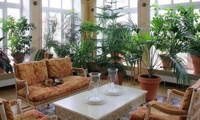 Living Green In Every Corner