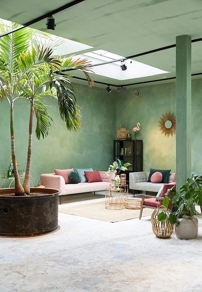 Green Walls, Natural Light, Living Plants