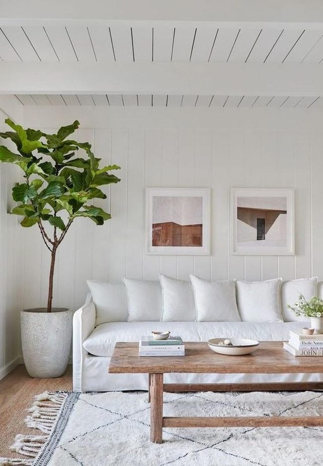 White Beams And Green Life