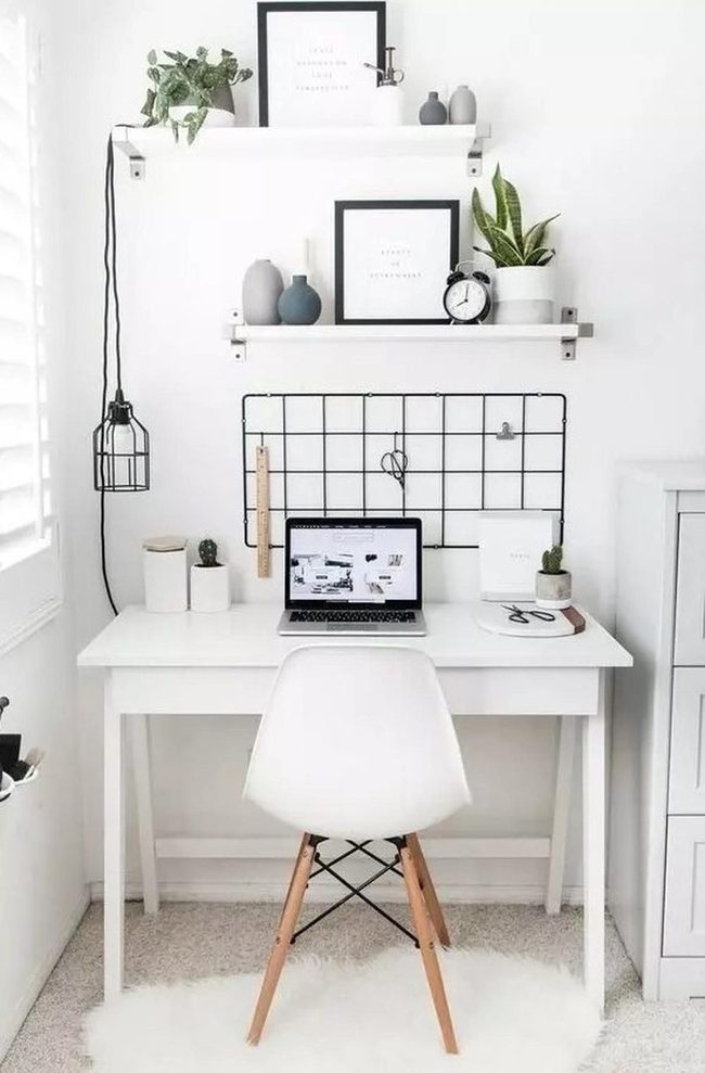 Sunlit Workspace With Living Plants