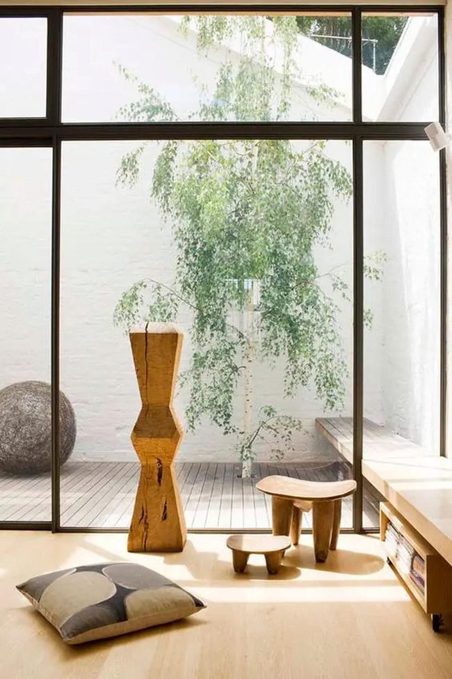 Glass Wall Meets Living Tree