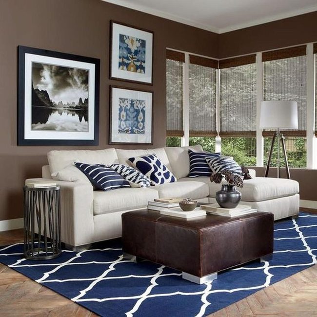 Brown Walls Blue Patterned Comfort
