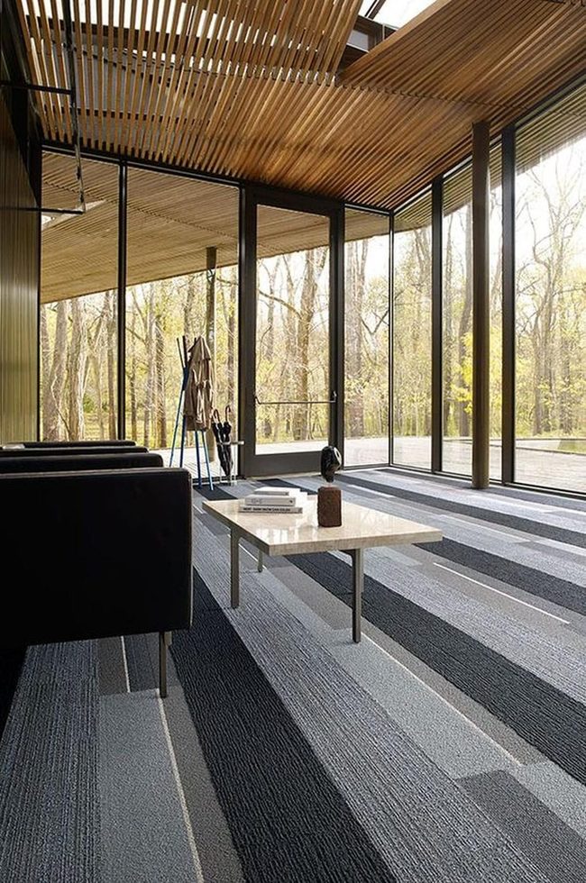 Natural Light Meets Minimalist Gray