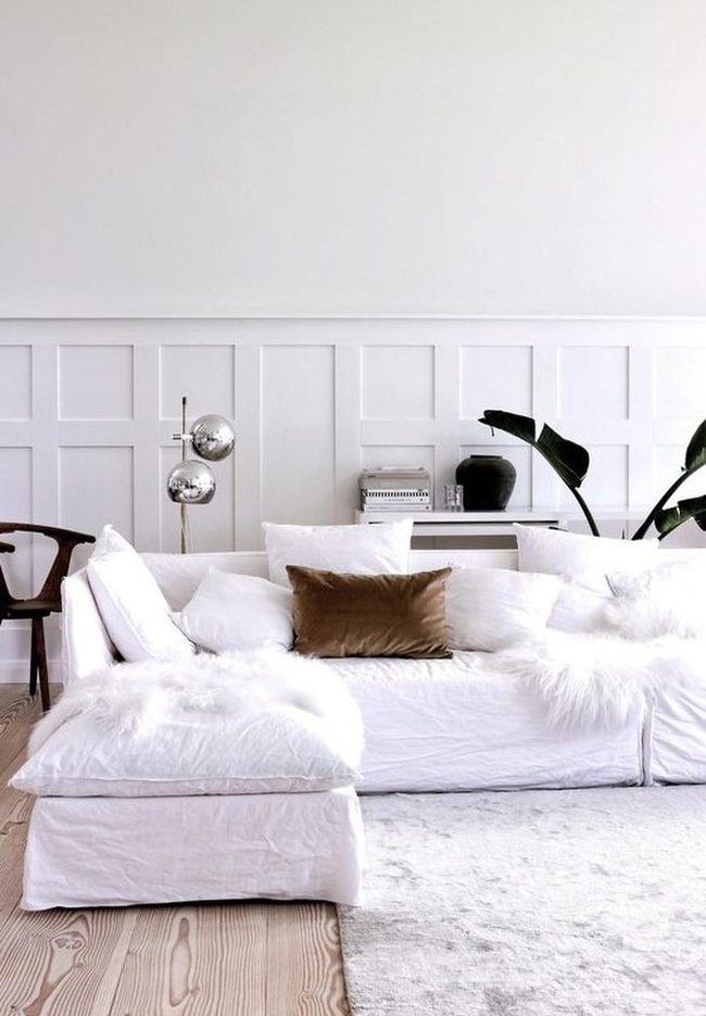 Brown Velvet Warmth On White
