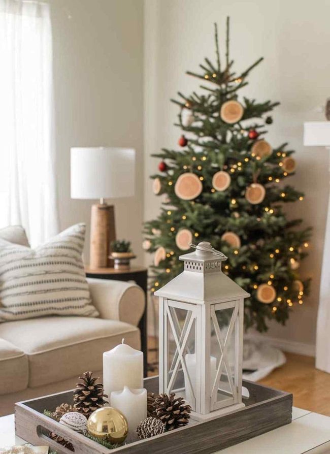 Weathered Hardwood Winter Sparkle