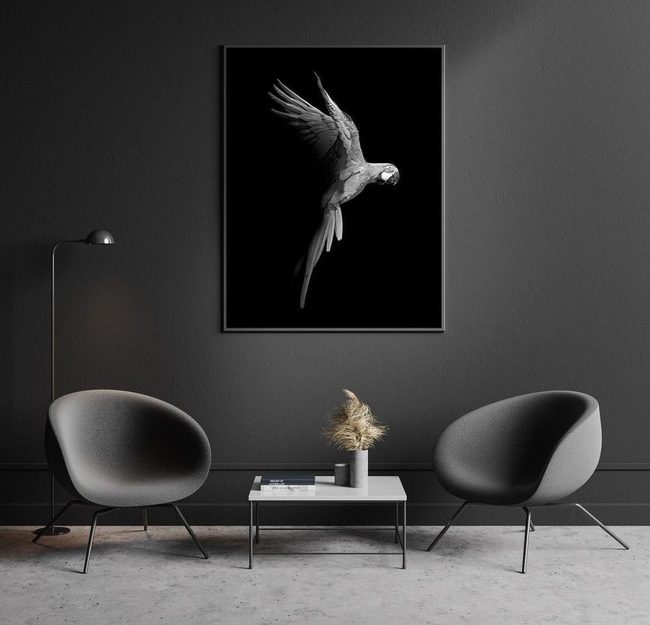 Monochrome Geometry Meets Soft Structure