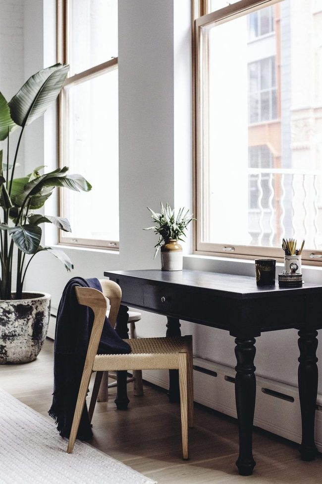 Tall Plants Frame Industrial Windows