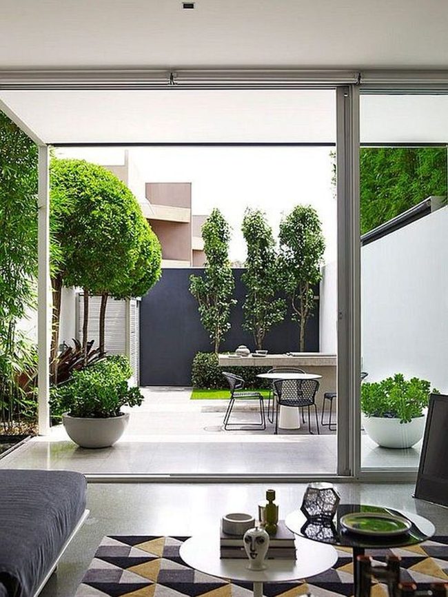 Green Windows Frame Living Nature