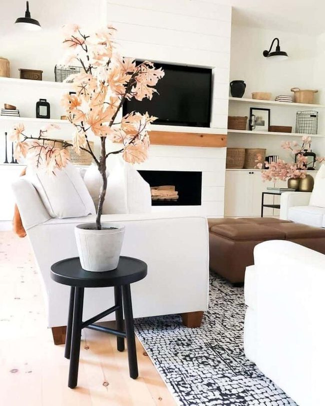 Orange Plants Against Monochrome Walls