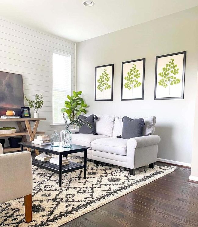 Tall Green Plants Gray Living Room