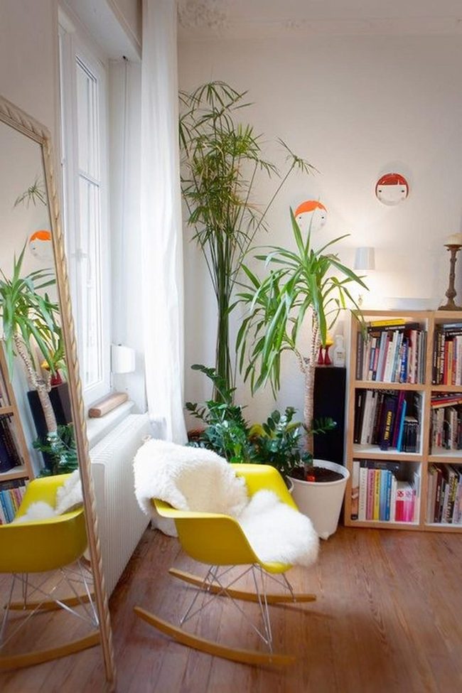 Sunny Yellow Chairs And Mirrors