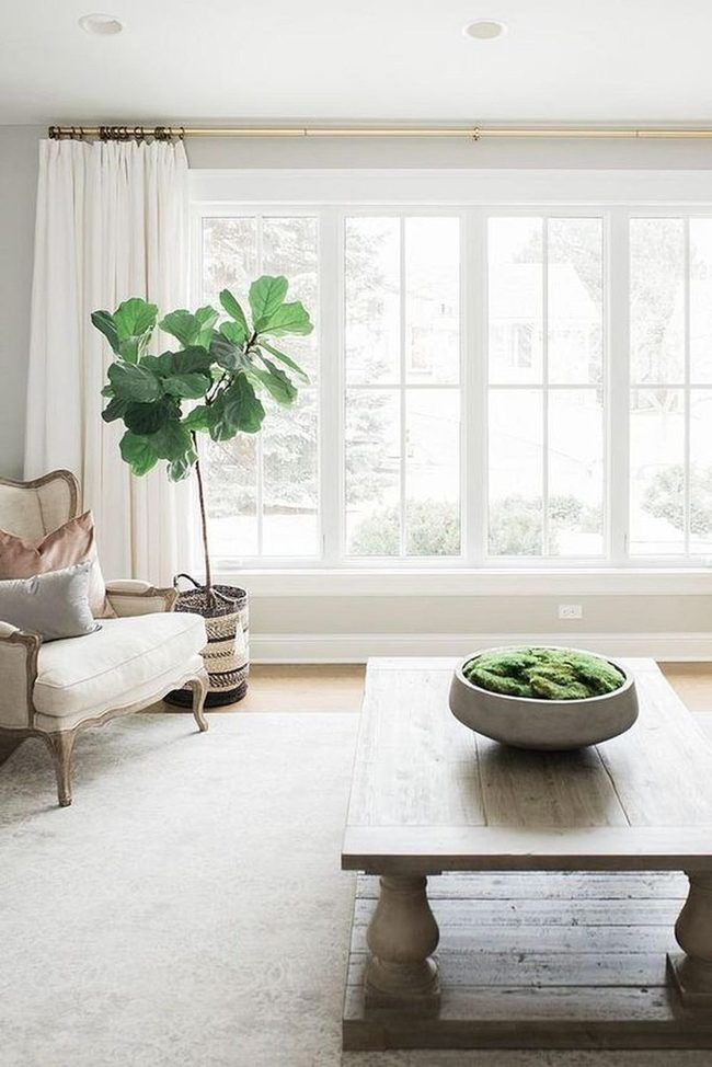 Sunlit Wood And Living Green
