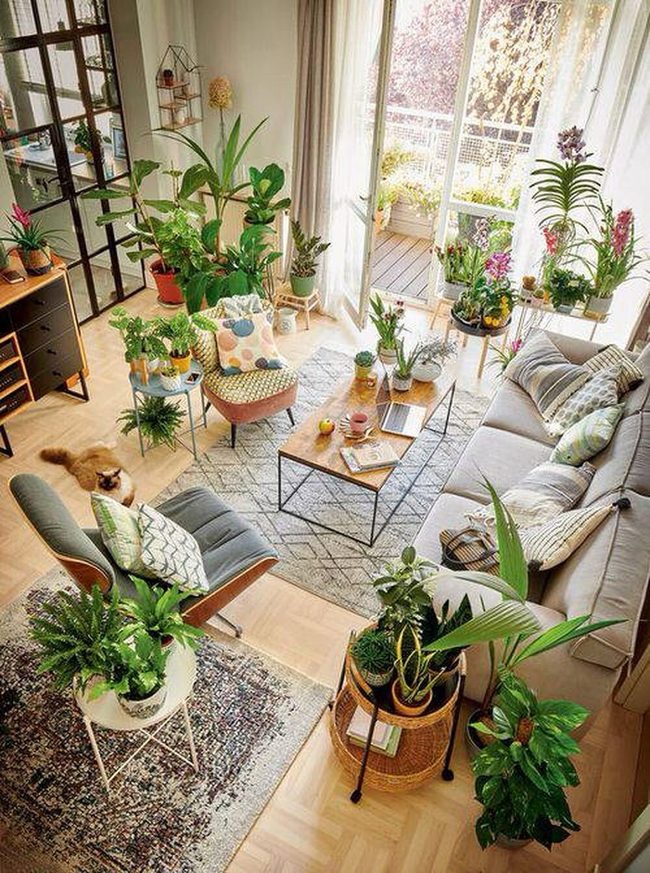 Green Walls Transform Compact Spaces