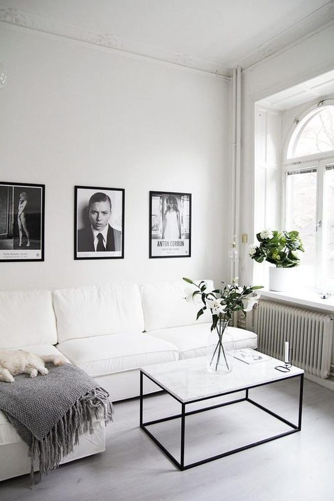 Arched Windows With Green Plant Accents