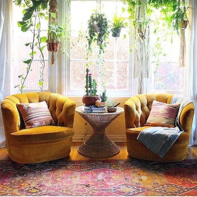 Mustard Yellow Corner With Hanging Plants