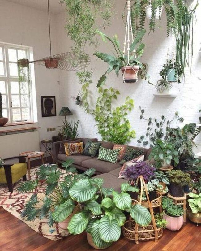 Layered Greenery Fills Every Corner