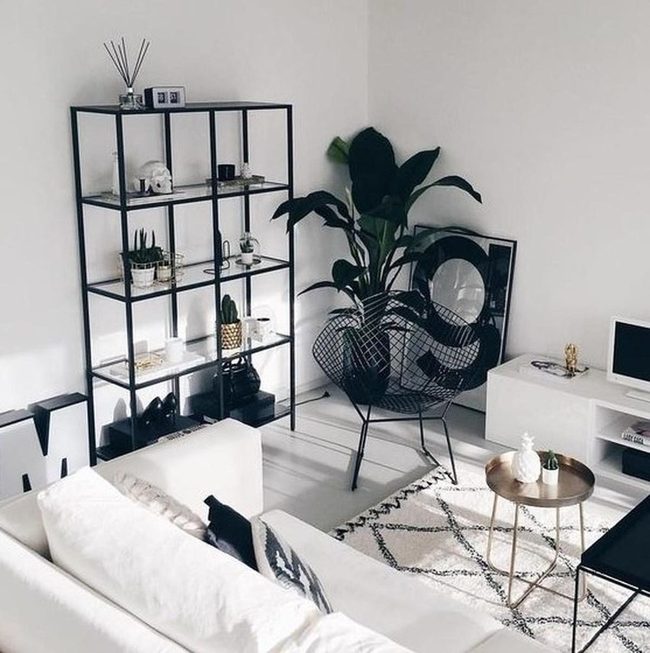 White Walls Black Metal Plants