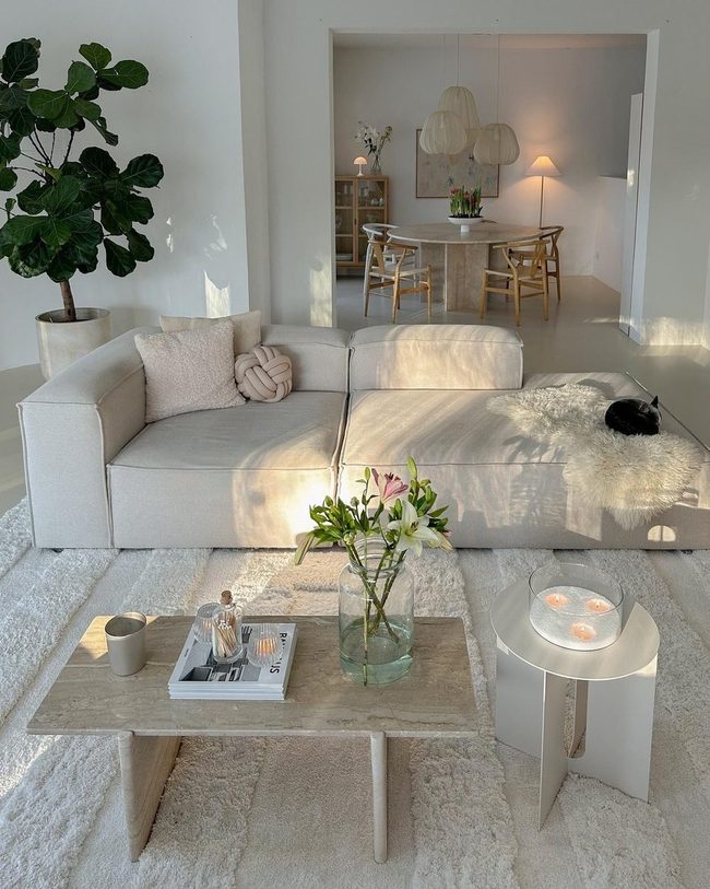 Neutral Rug Anchors Minimal Space