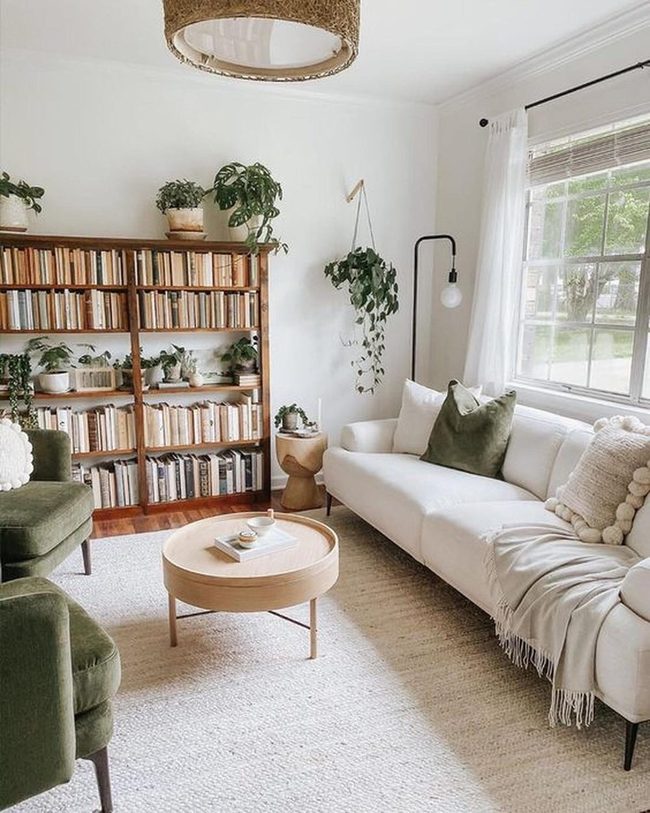 Natural Wood Books And Green Plants