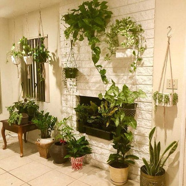 Cascading Green Walls Living Room