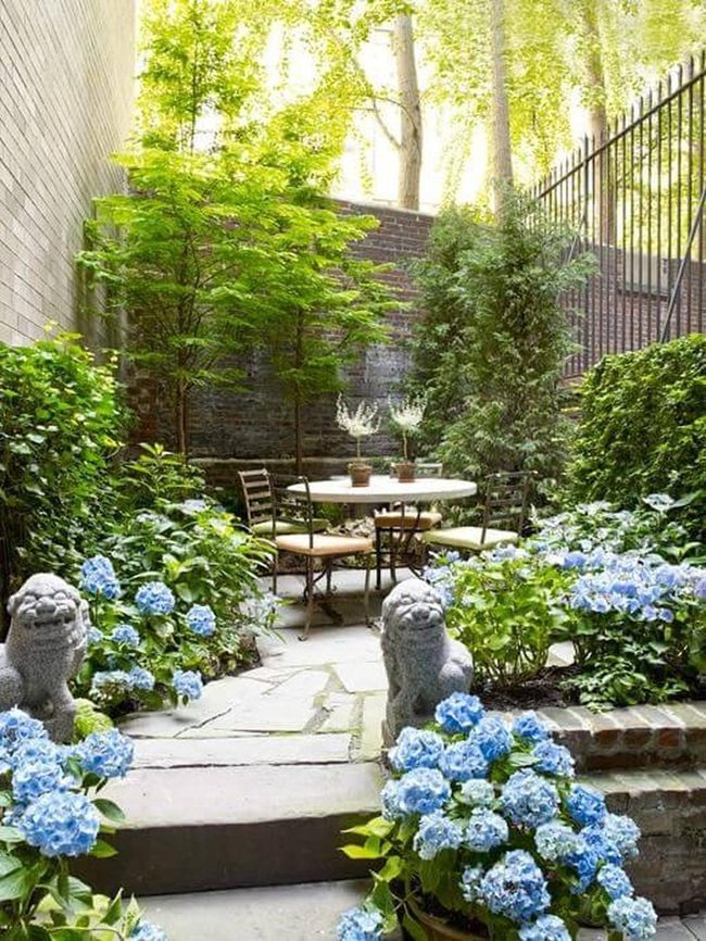 Blue Hydrangeas Meet Grey Stone