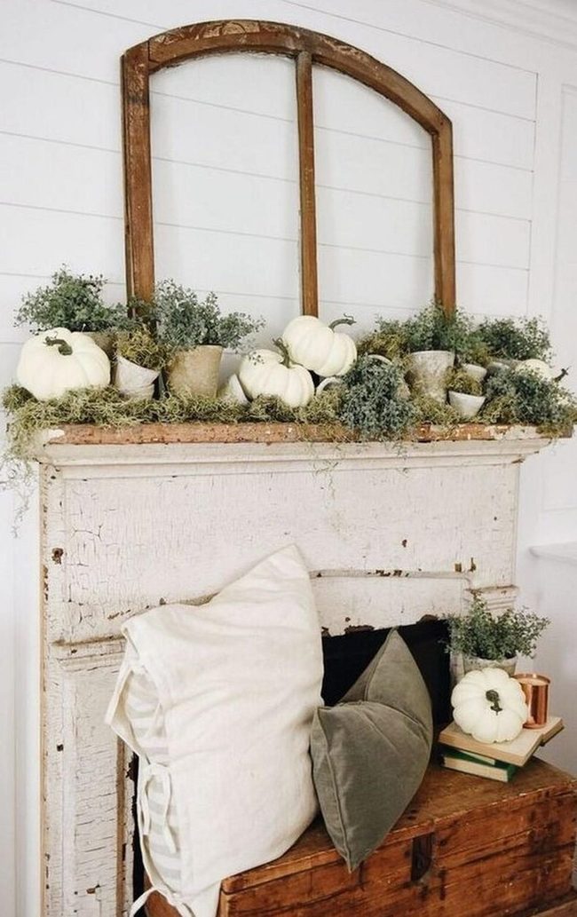 White Pumpkins, Moss, Weathered Wood