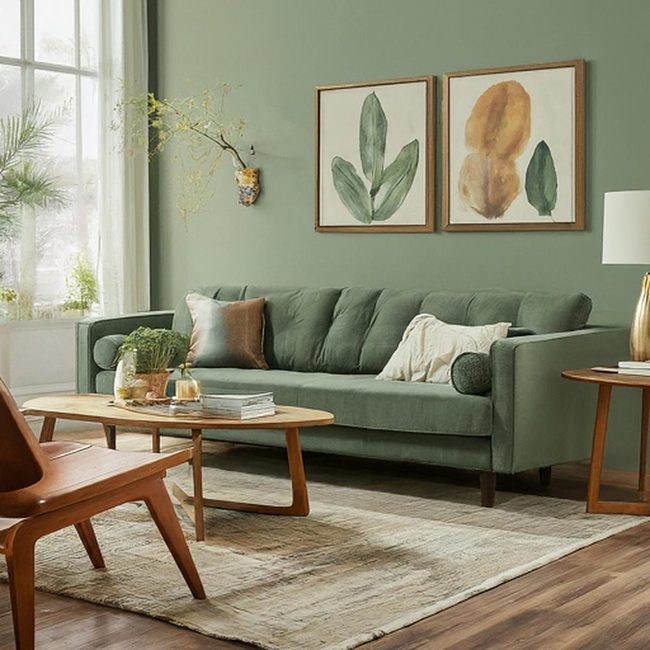 Sage Green Sofa Against Black Walls