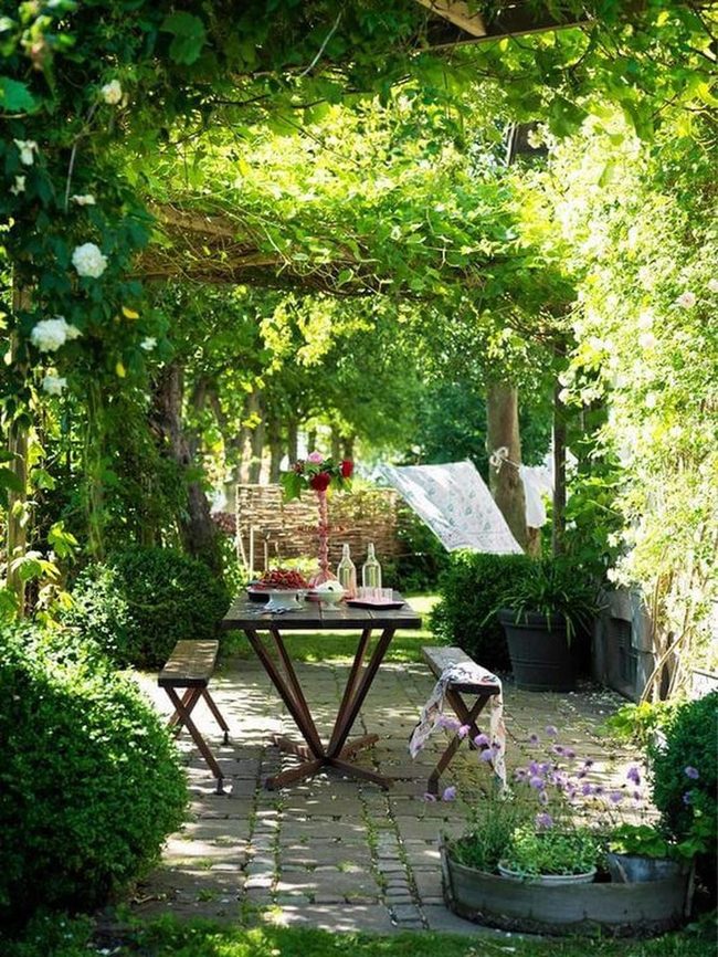 Leafy Canopy Dining With Lantern Light