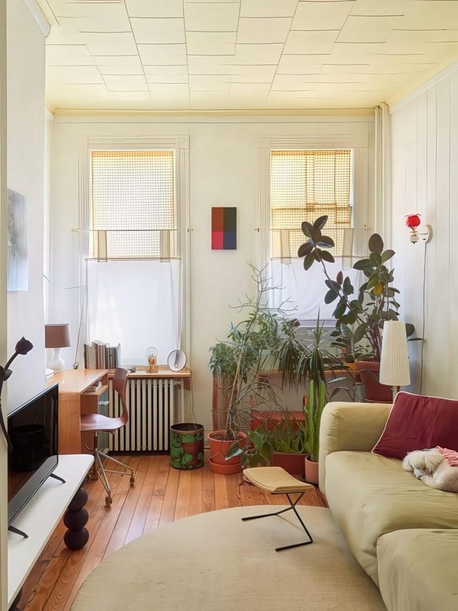 Red Pillow, Green Plants, Cream Comfort