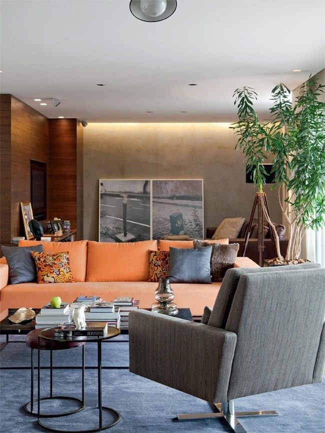 Orange Cushions Energize Modern Living Room