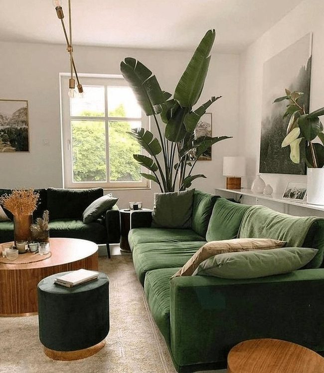 Deep Green Couch Focal Point