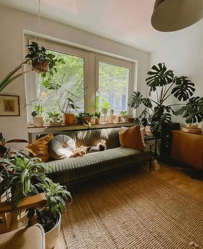 Green Sunlit Plant Paradise