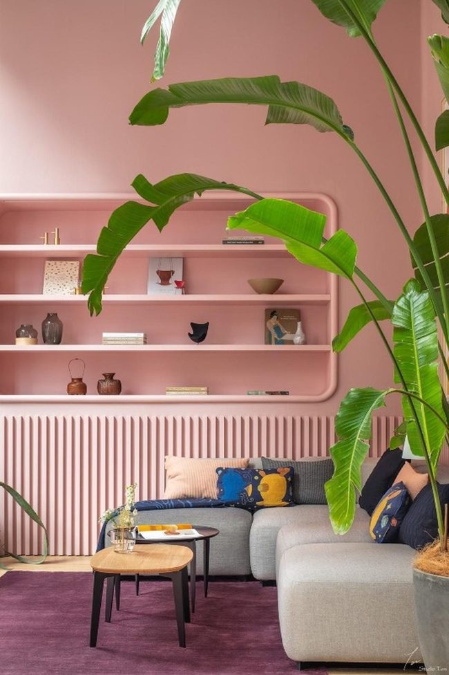 Pink Walls, Green Plants, Purple Accent