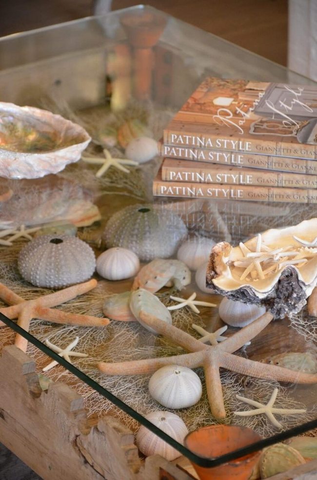 Seashells And Starfish On Calm Display