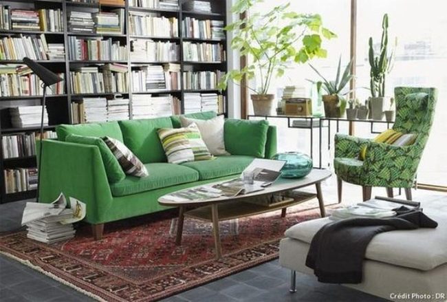 Emerald Sofa, Crimson Warmth, Green Life