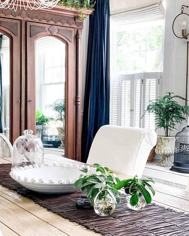 Sunlit Dining With Living Greenery