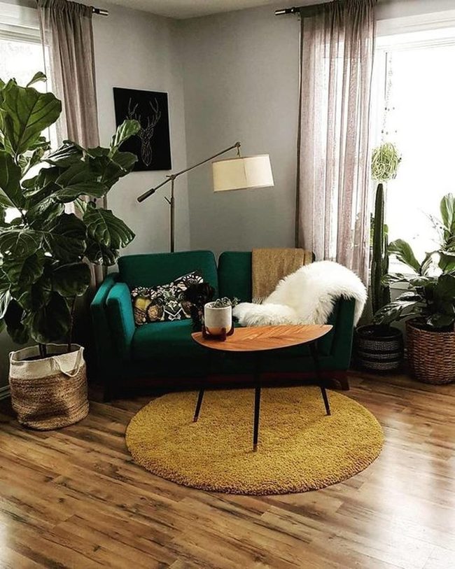 Green Sofa, Yellow Rug, Natural Light