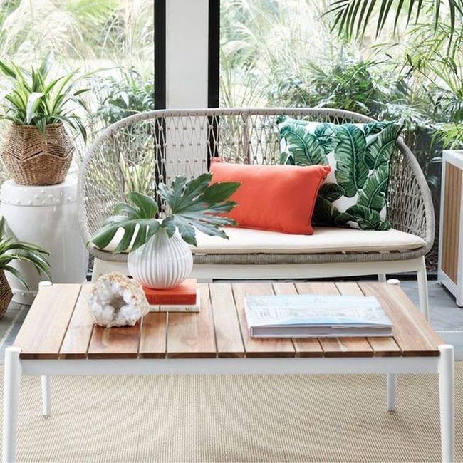 Sunlit Room With Green Plants And Natural Wood